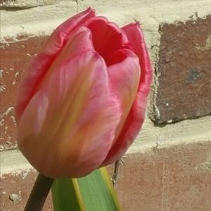 Meet your Posher, Sheila.